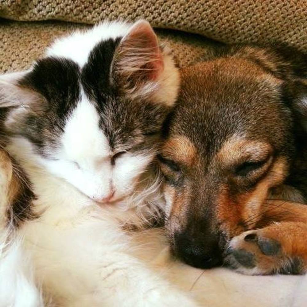 Meet your Posher, Linda